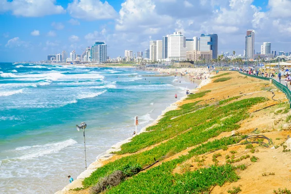 Vue de la plage et des toits de Tel-Aviv — Photo