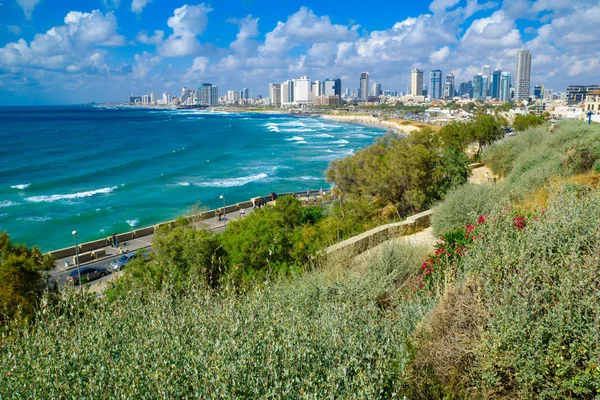 Vue de la plage et des toits de Tel-Aviv — Photo