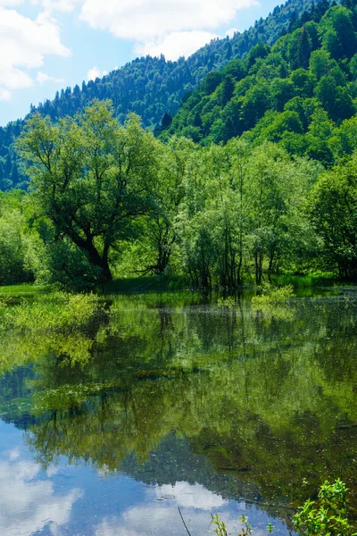 Вид на озеро Биоград — стоковое фото