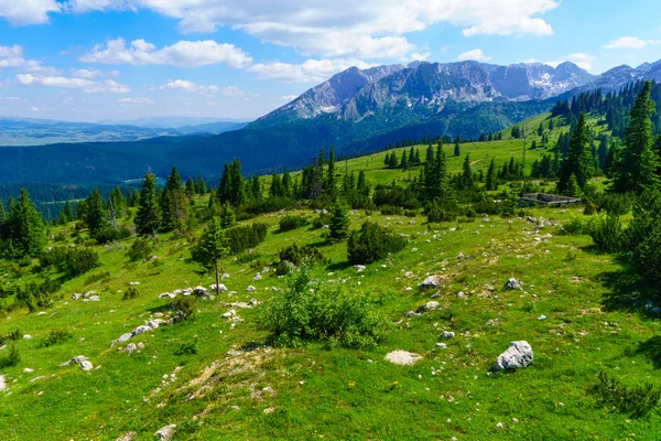 Pohled na krajinu Durmitor — Stock fotografie