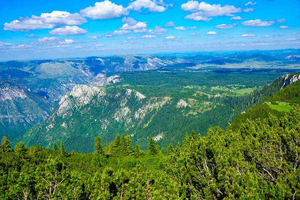 Durmitor a kaňon Tara — Stock fotografie