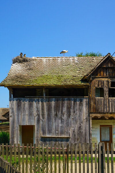 Wooden House, with Storks, Croatia