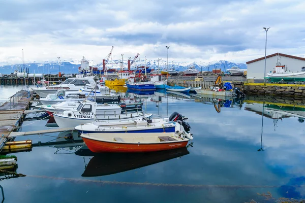 釣りフーサヴィーク港 — ストック写真