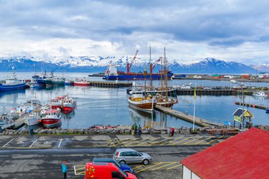 Husavik balıkçı limanı