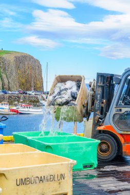 Balık tutma bağlantı noktası Stykkisholmur sahnede