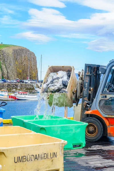 Stykkisholmur で釣り港の風景 — ストック写真