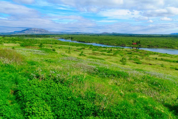 Paesaggio e il fiume Olfusa — Foto Stock