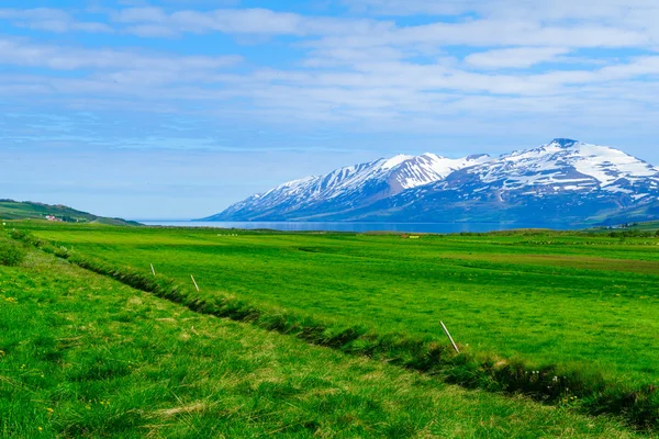 Paysage et campagne le long de l'Eyjafjordur — Photo