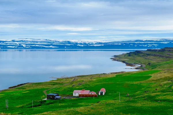 Campo e paisagem ao longo do fiorde Mjoifjordur — Fotografia de Stock