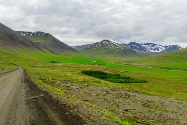 Hrafnseyrarheidi peyzaj