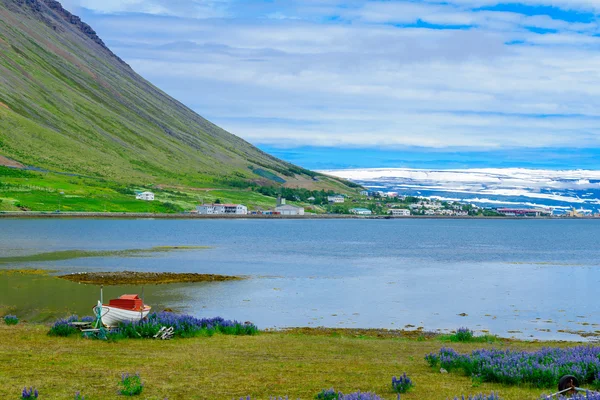 Isafjordur 마을의 보기 — 스톡 사진
