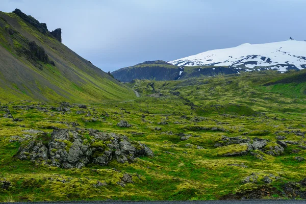 풍경과 Snaefellsjokull 화산 — 스톡 사진