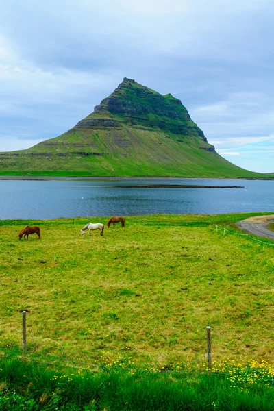 Kirkjufell hora v poloostrov Snaefellsnes — Stock fotografie