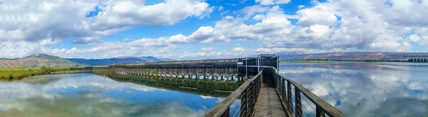 Vue Panoramique Pont Flottant Avec Paysage Humide Dans Réserve Naturelle — Photo