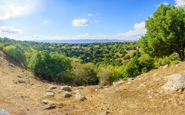 Vista Del Paisaje Volcánico Big Joba Jupta Cráter Boxes Los — Foto de Stock