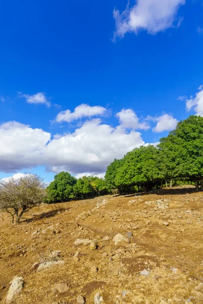 北イスラエル ゴラン高原の火山景観の眺め — ストック写真