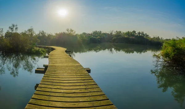 Uitzicht Een Verhoogd Pad Een Vijver Natuurgebied Afek Noord Israël — Stockfoto