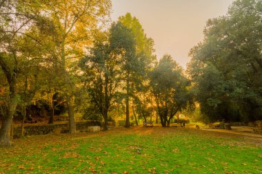 En Hemed Ulusal Parkı 'nda (Aqua Bella), Kudüs, İsrail' in batısında ağaçlar, sonbahar yaprakları ve Kesalon akıntısı bulunan piknik alanı görülüyor.