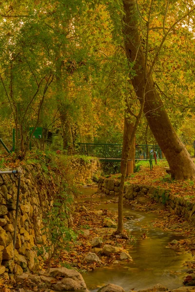 Vista Córrego Kesalon Com Árvores Folhagem Queda Parque Nacional Hemed — Fotografia de Stock