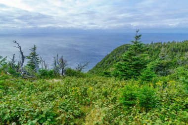 Cape Breton Highlands Ulusal Parkı 'ndaki ufuk çizgisi manzarası, Nova Scotia, Kanada
