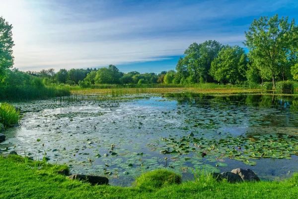 Veduta Dell Orto Botanico Montreal Quebec Canada — Foto Stock