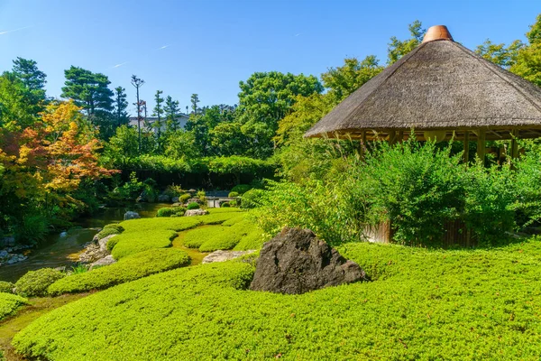 Vista Del Yoko Jardín Del Estanque Del Templo Taizo Kyoto —  Fotos de Stock