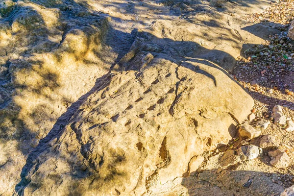 Vue Gravure Jeu Société Manqala Dans Forteresse Médiévale Nimrod Sur — Photo