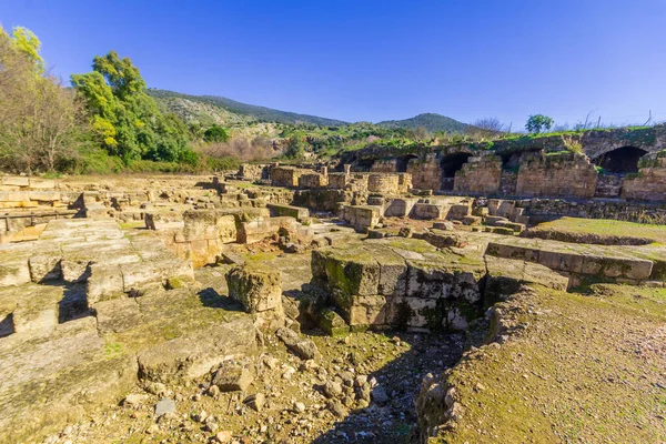 Vista Los Restos Del Palacio Agripas Reserva Natural Hermón Banias — Foto de Stock