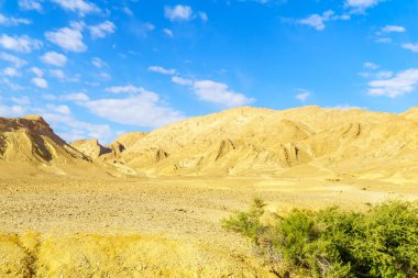 Manzara, Makhtesh Ramon (Ramon Krateri), Negev Çölü, Güney İsrail