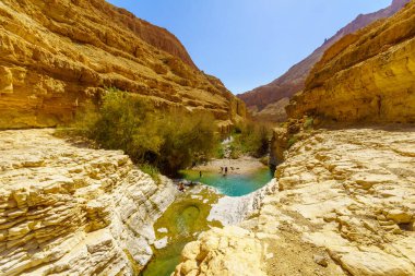 Ein Gedi, İsrail - 13 Mart 2021: Arugot deresi boyunca Ein Gedi Doğa Koruma Alanı 'nda, Güney İsrail yakınlarındaki üst havuz manzarası