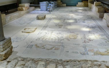 Tzipori, İsrail - 29 Mart 2021: Antik sinagogdaki mozaik zeminin görüntüsü, Tzipori Ulusal Parkı, Kuzey İsrail