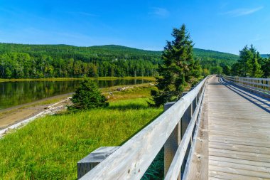 Forillon Ulusal Parkı, Gaspe Yarımadası, Quebec, Kanada 'nın Penouille bölgesindeki yüksek patika.