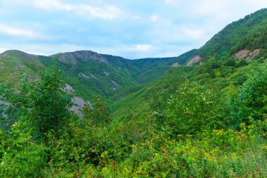 Cape Breton Adası, Nova Scotia, Kanada 'da Cabot Patikası boyunca manzara (Cap Rouge yakınlarında)