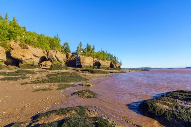 Hopewell Kayaları 'nın alçak gelgit manzarası, New Brunswick, Kanada