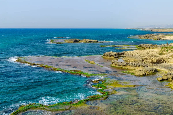 Pohled Pláž Zátoky Pískovcové Útesy Pláži Dor Severní Izrael — Stock fotografie