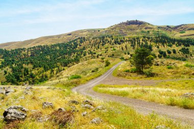 Eshkol Ormanı manzarası, Kuzey İsrail