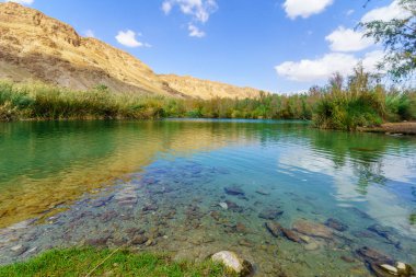 Einot Tzukim 'de (Ein Feshkha), Güney İsrail' de Ölü Deniz 'in kuzey batı kıyısındaki tuzlu su havuzu manzarası