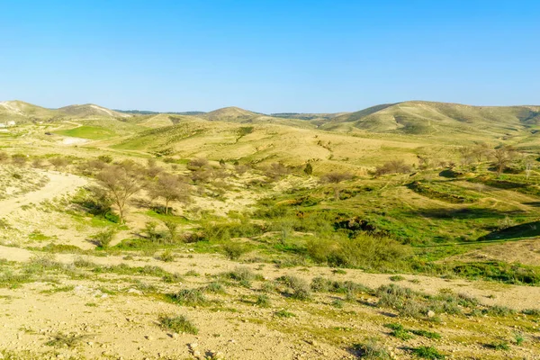 Вид Сельский Пейзаж Ятырского Района Южный Израиль — стоковое фото