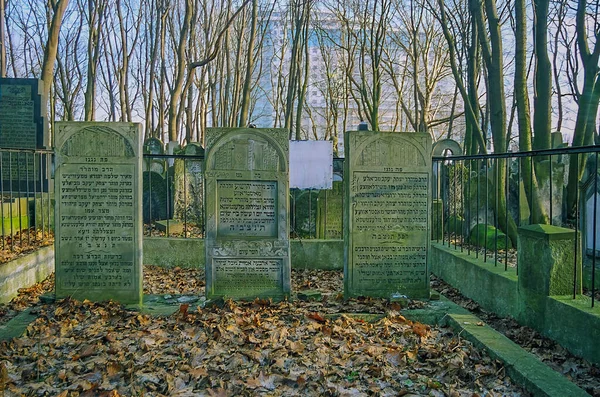 Warsaw Poland December 2008 View Old Tombstones Hebrew Scripts Old — Stock Photo, Image