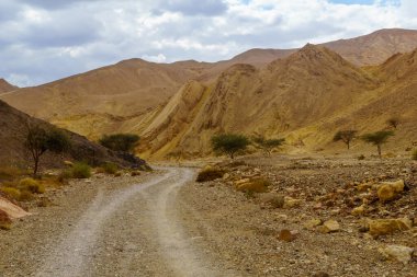 Nahal Shlomo (çöl vadisi) manzarası. Eilat Dağları, Güney İsrail