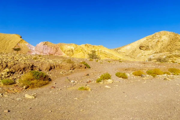 Vista Del Nahal Shani Valle Del Desierto Cerca Del Cañón — Foto de Stock