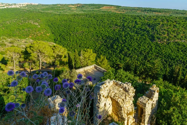 Vue Vallée Fleuve Yehiam Depuis Forteresse Dans Galilée Occidentale Nord — Photo