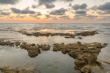 Akdeniz kıyıları mavi saat (gün batımından sonra), aşınma platformları ile, Shikmona Park, Hayfa, İsrail