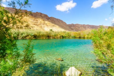Einot Tzukim 'de (Ein Feshkha), Güney İsrail' de Ölü Deniz 'in kuzey batı kıyısındaki tuzlu su havuzu manzarası