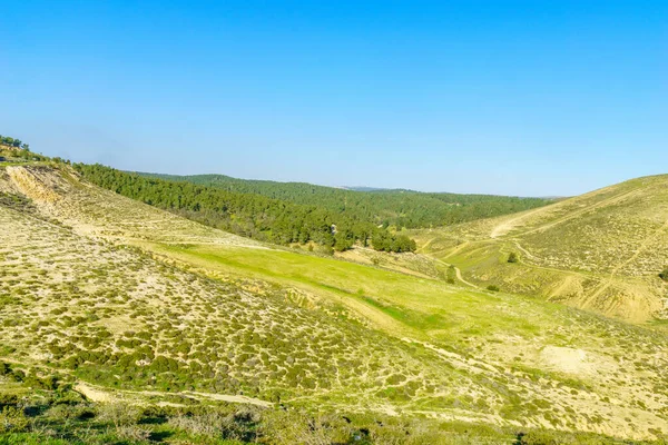 Пейзаж Ятирского Края Ятирским Лесом Южный Израиль — стоковое фото