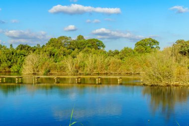 Kuzey İsrail, En Afek 'in sulak arazisinde, bir gölet üzerindeki yükseltilmiş bir patikanın manzarası.