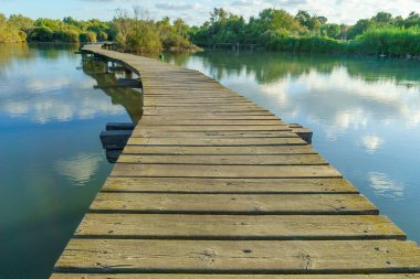 Kuzey İsrail, En Afek 'in sulak arazisinde, bir gölet üzerindeki yükseltilmiş bir patikanın manzarası.