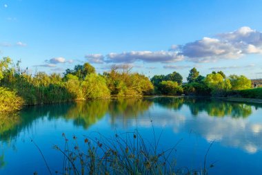 Kuzey İsrail, En Afek 'in sulak arazisindeki bir gölet manzarası.
