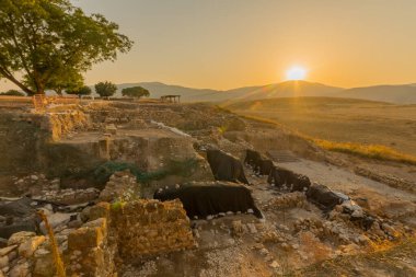 İsrail 'in kuzeyindeki UNESCO Dünya Mirası Alanı olan Tel Hazor Ulusal Parkı' ndaki ağaçlar ve manzaralı antik İsrail binalarının günbatımı görüntüsü devam ediyor.