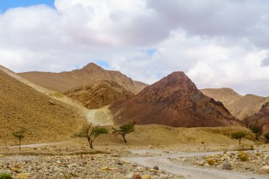 Nahal Shlomo (çöl vadisi) manzarası. Eilat Dağları, Güney İsrail